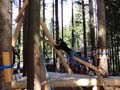 DSC00431